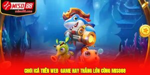 Chơi icá trên web - Game hay thắng lớn cùng MISO88 