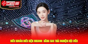 Điều Khoản Điều Kiện MISO88 - Nâng Cao Trải Nghiệm Hội Viên