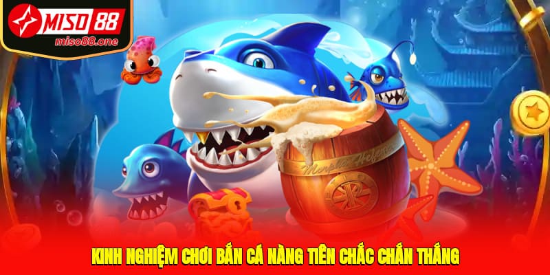 Kinh nghiệm chơi bắn cá Nàng Tiên chắc chắn thắng