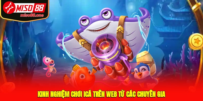 Kinh nghiệm chơi icá trên web từ các chuyên gia