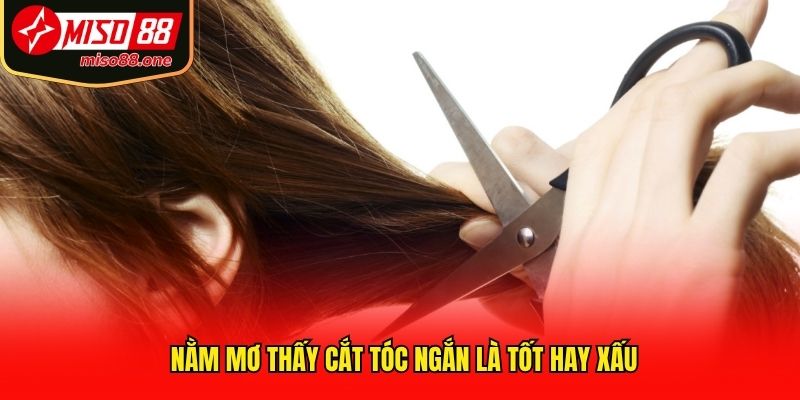Nằm mơ thấy cắt tóc ngắn là tốt hay xấu