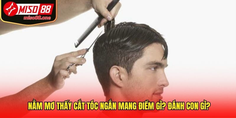 Nằm Mơ Thấy Cắt Tóc Ngắn Mang Điềm Gì? Đánh Con Gì?