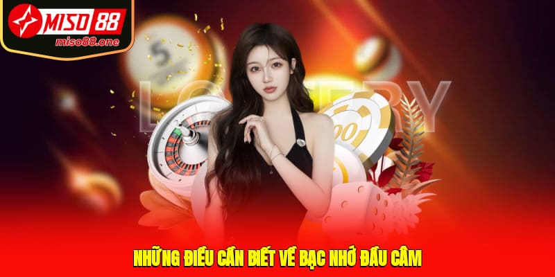 Những điều cần biết về bạc nhớ đầu câm